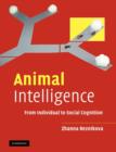 Animal Intelligence : From Individual to Social Cognition - Book
