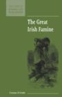 The Great Irish Famine - Book