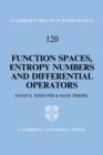 Function Spaces, Entropy Numbers, Differential Operators - Book