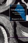Culture and Agency : The Place of Culture in Social Theory - Book