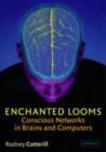 Enchanted Looms : Conscious Networks in Brains and Computers - Book