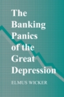 The Banking Panics of the Great Depression - Book