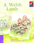 A Welsh Lamb ELT Edition - Book