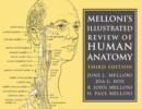Melloni's Illustrated Review of Human Anatomy - Book