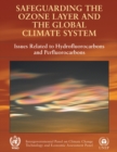 Safeguarding the Ozone Layer and the Global Climate System : Special Report of the Intergovernmental Panel on Climate Change - Book