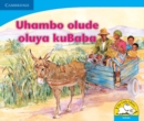 Uhambo olude oluya kuBaba (IsiZulu) - Book