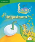 Ungasinata? (Siswati) - Book