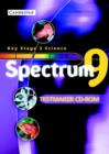 Spectrum Year 9 Testmaker Assessment CD-ROM - Book