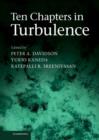 Ten Chapters in Turbulence - Book