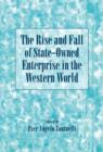 The Rise and Fall of State-Owned Enterprise in the Western World - Book