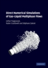 Direct Numerical Simulations of Gas-Liquid Multiphase Flows - Book