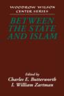 Between the State and Islam - Book