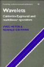 Wavelets : Calderon-Zygmund and Multilinear Operators - Book