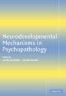Neurodevelopmental Mechanisms in Psychopathology - Book