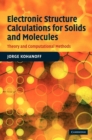 Electronic Structure Calculations for Solids and Molecules : Theory and Computational Methods - Book