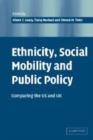 Ethnicity, Social Mobility, and Public Policy : Comparing the USA and UK - Book