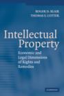 Intellectual Property : Economic and Legal Dimensions of Rights and Remedies - Book