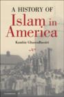 A History of Islam in America : From the New World to the New World Order - Book