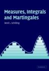 Measures, Integrals and Martingales - Book