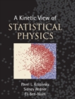 A Kinetic View of Statistical Physics - Book