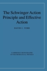 The Schwinger Action Principle and Effective Action - Book