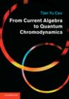 From Current Algebra to Quantum Chromodynamics : A Case for Structural Realism - Book