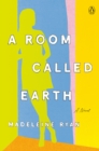 Room Called Earth - eBook