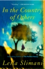 In the Country of Others - eBook