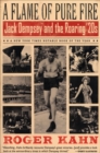 A Flame Of Pure Fire : Jack Dempsey and the Roaring '20s - eBook
