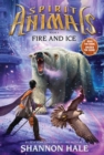 Fire and Ice - Book