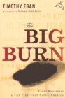The Big Burn : Teddy Roosevelt and the Fire that Saved America - eBook
