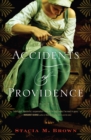 Accidents of Providence : A Novel - eBook