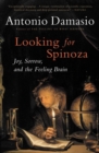 Looking for Spinoza : Joy, Sorrow, and the Feeling Brain - eBook