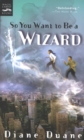 So You Want to Be a Wizard - eBook