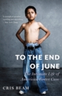 To the End of June : The Intimate Life of American Foster Care - eBook