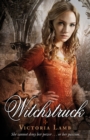 Witchstruck - Book