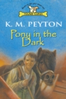 Pony In The Dark - Book