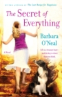 The Secret of Everything : A Novel - Book