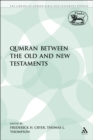 Qumran between the Old and New Testaments - eBook