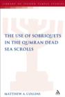 The Use of Sobriquets in the Qumran Dead Sea Scrolls - eBook