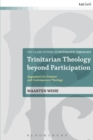 Trinitarian Theology beyond Participation : Augustine's De Trinitate and Contemporary Theology - Book