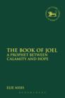 The Book of Joel : A Prophet Between Calamity and Hope - eBook