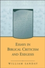 Essays in Biblical Criticism and Exegesis - eBook