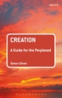 Creation: A Guide for the Perplexed - eBook