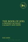 The Book of Joel : A Prophet between Calamity and Hope - Book