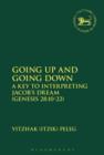Going Up and Going Down : A Key to Interpreting Jacob's Dream (Gen 28.10-22) - eBook