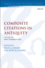 Composite Citations in Antiquity : Volume 2: New Testament Uses - eBook