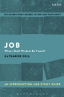 Job: An Introduction and Study Guide : Where Shall Wisdom Be Found? - eBook