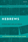Hebrews: An Introduction and Study Guide - eBook