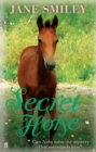 Secret Horse - Book
